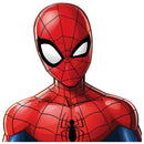 kussen Spider-Man junior 35 x 26 cm polyester rood