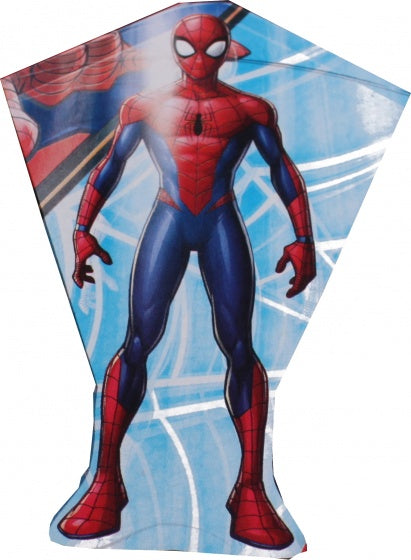 vlieger Spider-Man 80 x 56 cm
