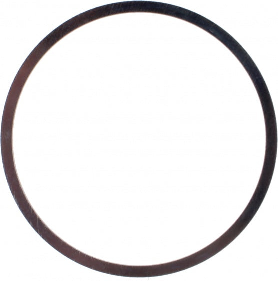 vulring staal 35 x 1 mm zilver