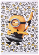 schriften Minions A5 gelijnd wit 3 stuks