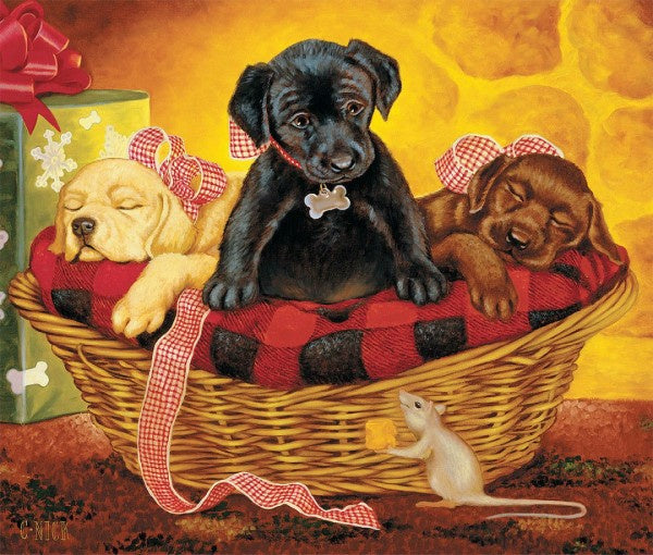 diamond painting Labrador 30 x 40 cm 5-delig