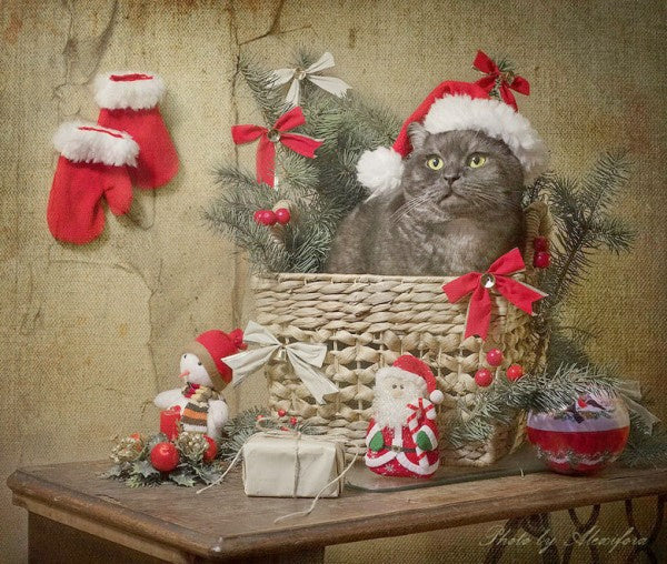 diamond painting Kerst 40 x 30 cm lichtnaturel