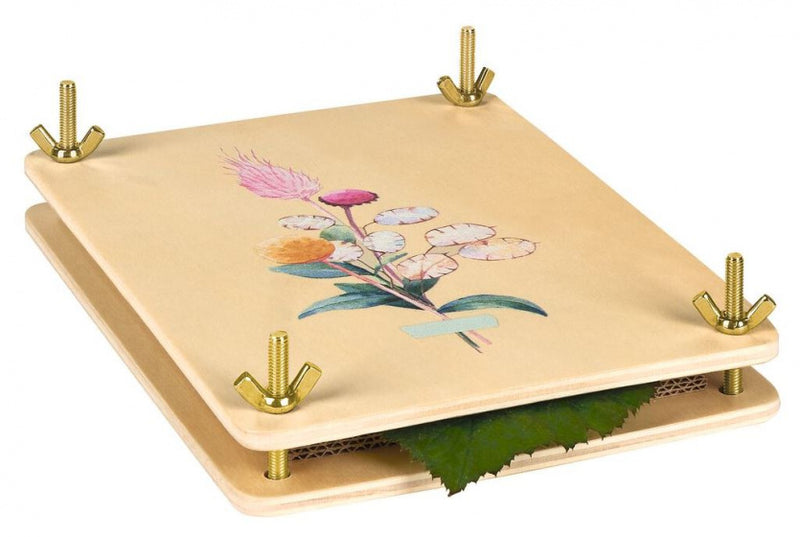 blad- en bloemenpers junior 21 cm hout naturel 22-delig