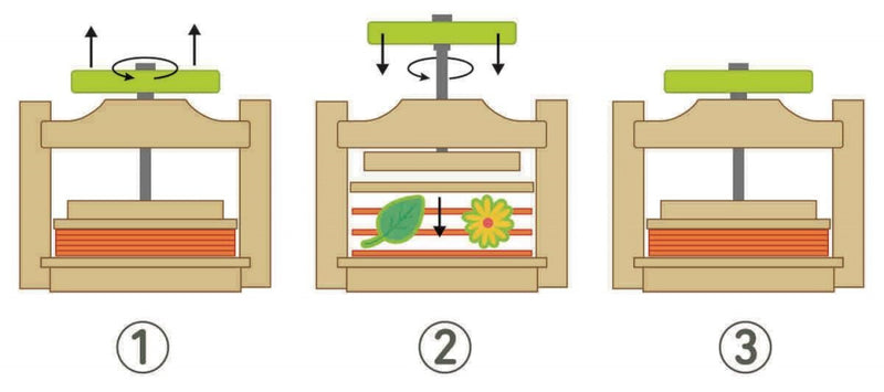 bloemenpers Expeditie Natuur junior 22 x 15,5 hout
