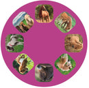 projectie zaklamp paarden 11,7 cm roze/blauw 4-delig