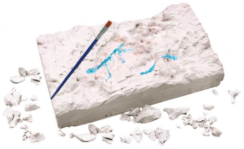 dinosaurus opgravingsset glow in the dark Triceratops