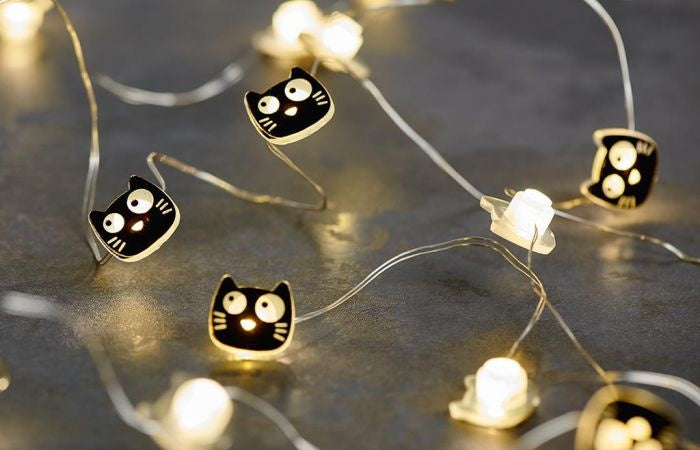lichtketting Ed, the Cat 2,20 m