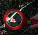loep met licht Krabbelkäfer 18 cm groen/rood