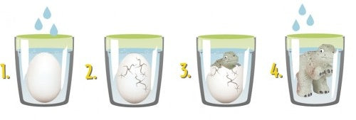 Magisch dinosaurus-ei 6 cm groen