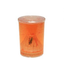 magische vulkaan 9,5 cm dinosaurus groen