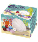 opgravingsset schelp met 3 schatten