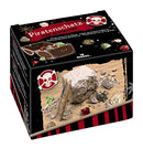piratenschat uithaksteen 10 cm