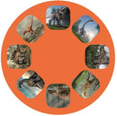 projectie zaklamp dino's 11,7 cm groen/zwart 4-delig