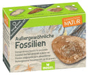 uithakset Expedition Natur fossielen junior 4-delig