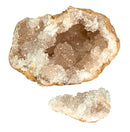 uithakset Expedition Natur geoden junior 8-delig