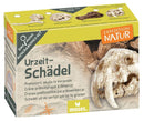 uithakset Expedition Natur schedel junior 4-delig