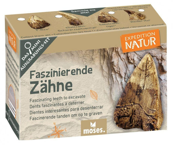 uithakset Expedition Natur tanden junior 4-delig