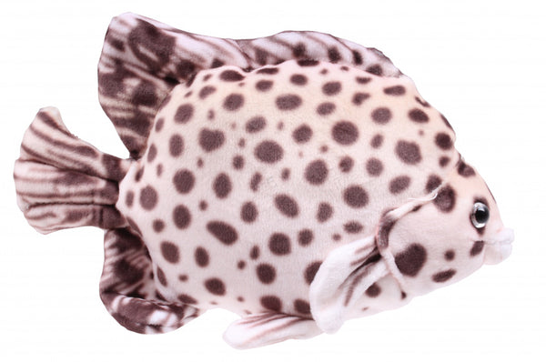 knuffelvis Tropical 21 cm pluche bruin
