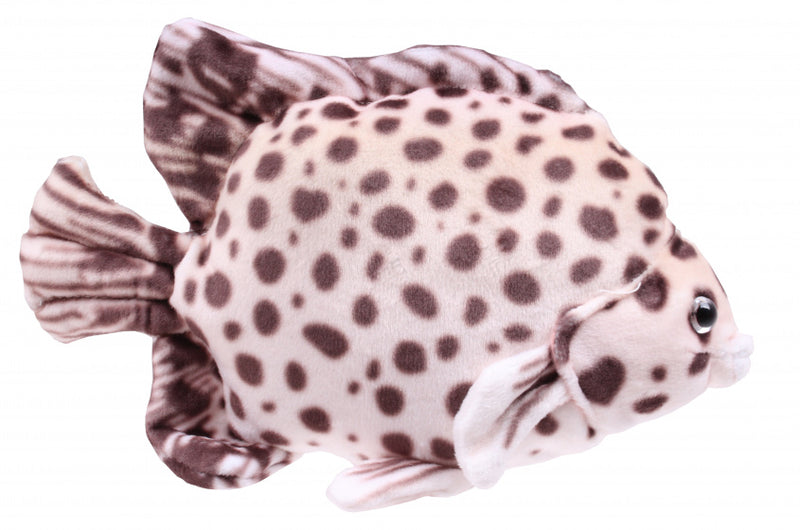 knuffelvis Tropical 21 cm pluche bruin