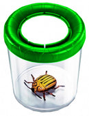 insectenpot junior 10 x 10 cm transparant/groen