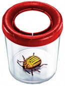 insectenpot junior 10 x 10 cm transparant/rood