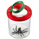 insectenpot met spin junior 7,5 cm transparant 2-delig