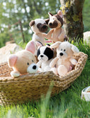 knuffel Franse Bulldog junior 20 x 14 cm pluche wit/zwart