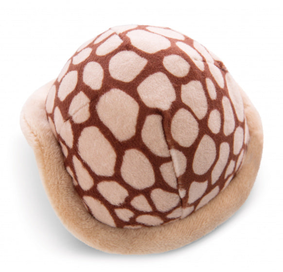 schildpad Helmut pull-back junior 11 cm pluche bruin