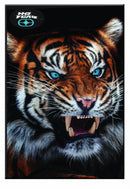 notitieboek B5 softcover zwart/oranje 40 pagina's