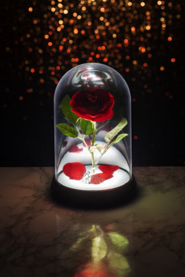 lamp Disney Belle en het beest 15 x 15 x 20 cm rood