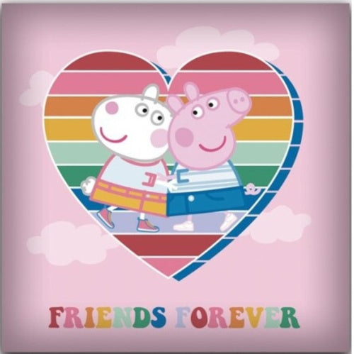 kussen Friends Forever 40 x 40 cm polyester roze/wit