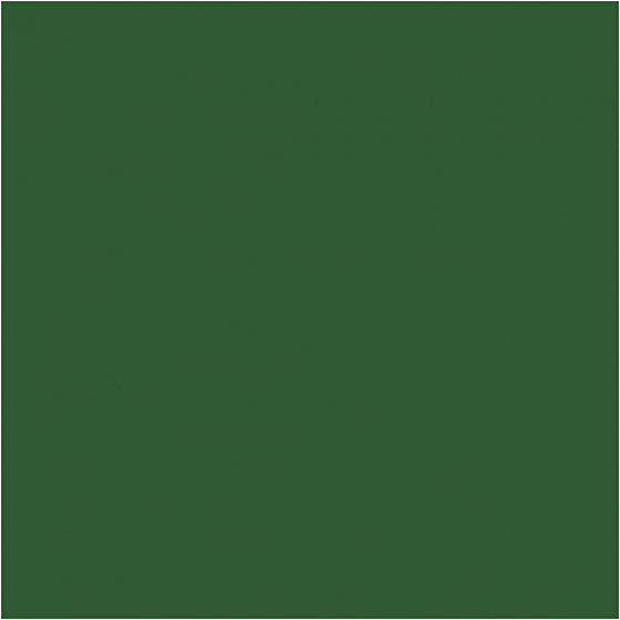Acrylverf donkergroen 500 ml