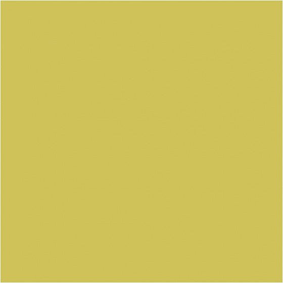Pigment Acrylverf kiwi groen 500 ml