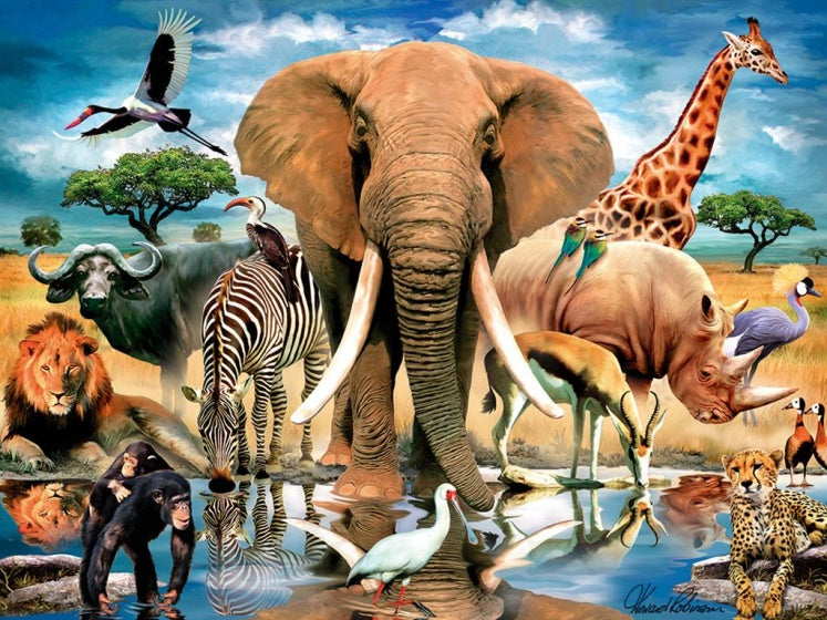 legpuzzel 3D Afrikaanse oase 500 stukjes