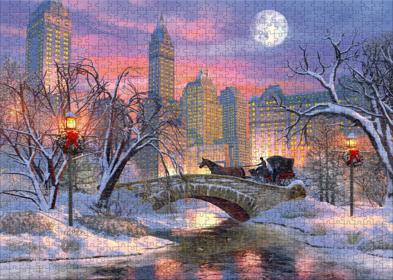 legpuzzel Central Park Ride 1000 stukjes