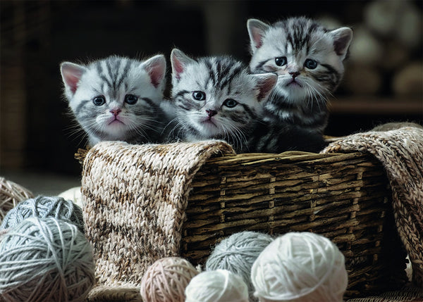 Rebo puzzel 1.000 st.Cute kittens 908165