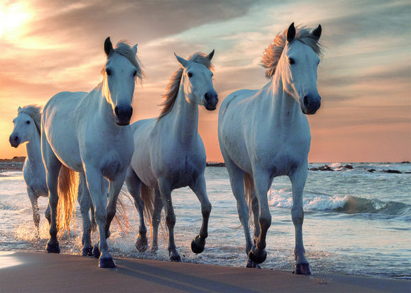 Rebo puzzel 1.000 st. Horses 908164
