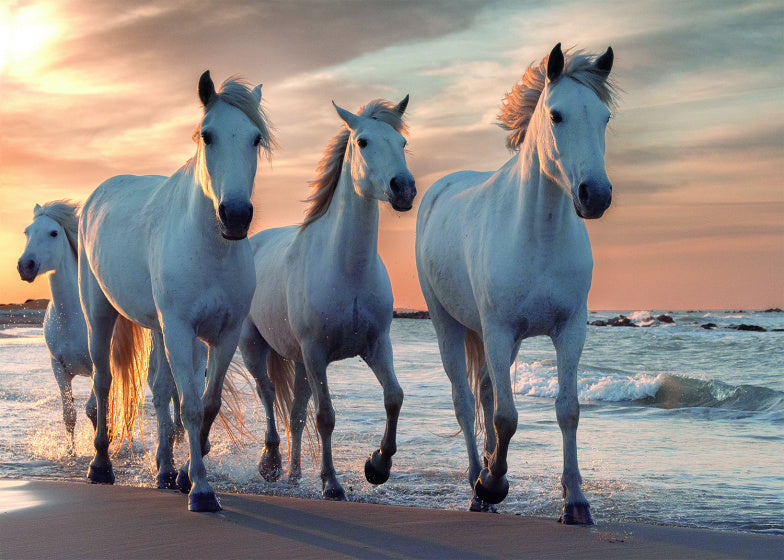 Rebo puzzel 1.000 st. Horses 908164