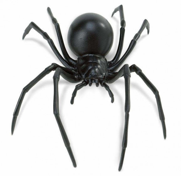 spin Black Widow junior 18 cm zwart