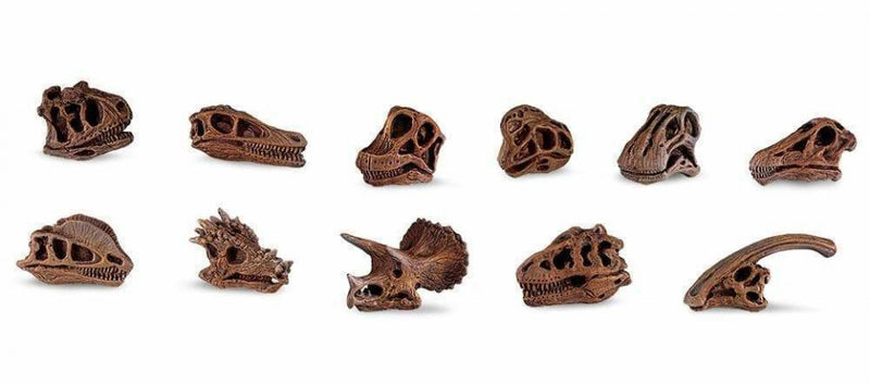 speelset Dinosaur skulls Toob junior bruin 11-delig