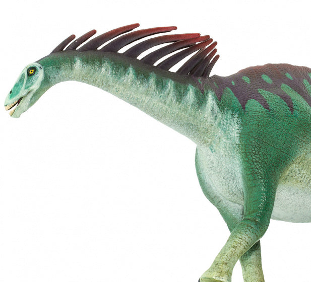 dinosaurus Amargasaurus junior 41 cm rubber groen/bruin