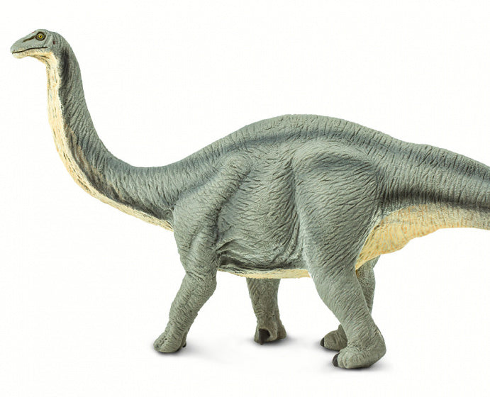 dinosaurus Apatosaurus junior 33 cm rubber grijs/wit