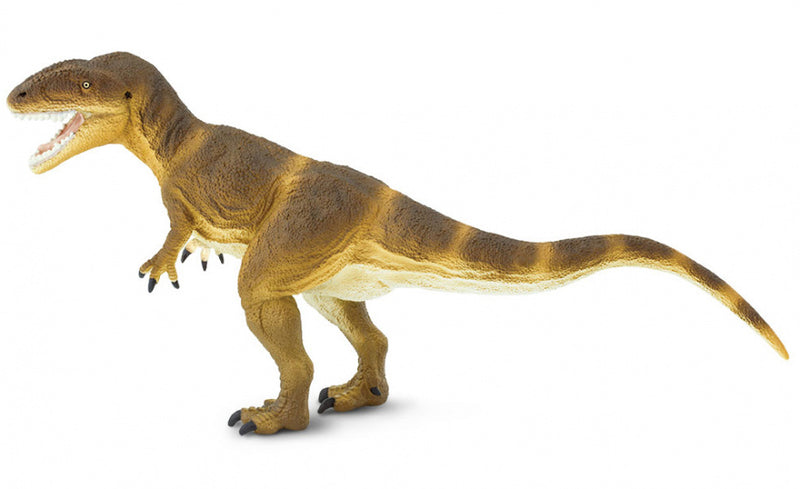 dinosaurus Carcharodontosaurus junior 23 cm rubber bruin