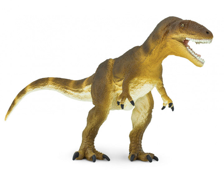 dinosaurus Carcharodontosaurus junior 23 cm rubber bruin