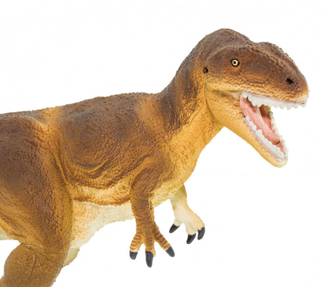 dinosaurus Carcharodontosaurus junior 23 cm rubber bruin