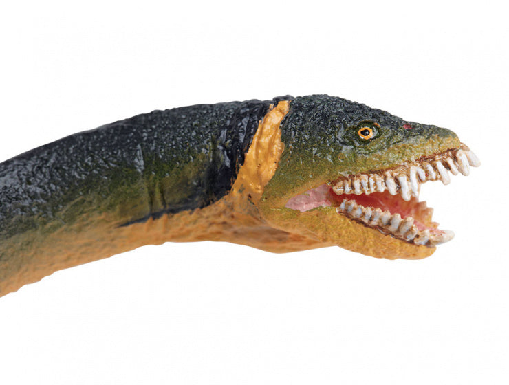 dinosaurus Elasmosaurus junior 25 cm rubber groen/geel