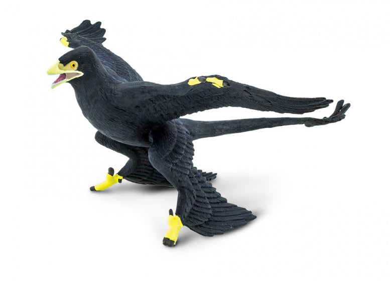 dinosaurus Microraptor junior 13 cm rubber zwart/geel