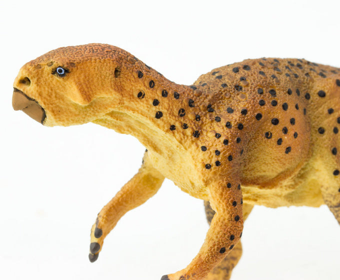 dinosaurus Psittacosaurus junior 13 cm rubber bruin/zwart