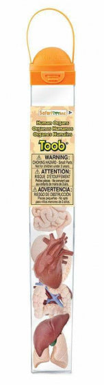 speelset Human organs Toob junior blank/rood 8-delig