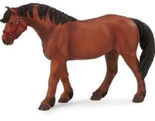 Iers trekpaard junior 20 x 14 cm bruin